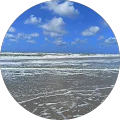 Maria S. Avatar